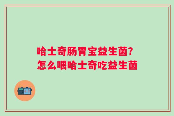 哈士奇肠胃宝益生菌？怎么喂哈士奇吃益生菌