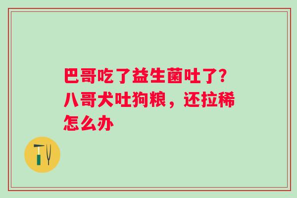 巴哥吃了益生菌吐了？八哥犬吐狗粮，还拉稀怎么办