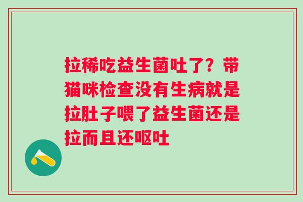 拉稀吃益生菌吐了？带猫咪检查没有生就是拉肚子喂了益生菌还是拉而且还