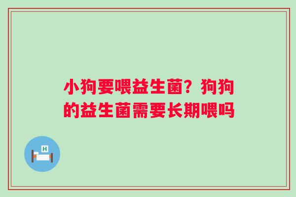 小狗要喂益生菌？狗狗的益生菌需要长期喂吗