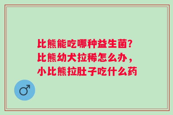 比熊能吃哪种益生菌？比熊幼犬拉稀怎么办，小比熊拉肚子吃什么药