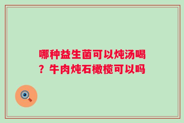 哪种益生菌可以炖汤喝？牛肉炖石橄榄可以吗