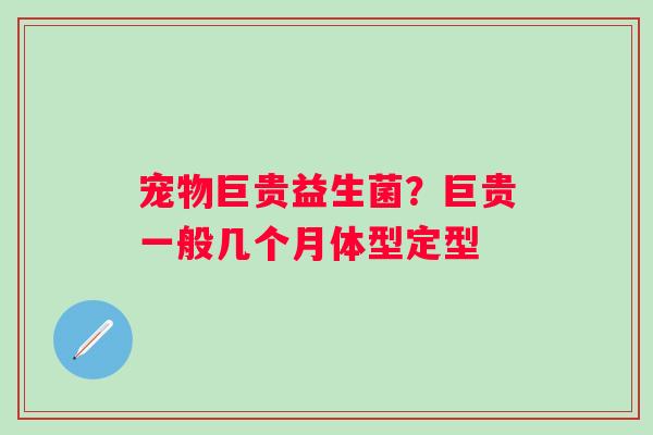 宠物巨贵益生菌？巨贵一般几个月体型定型