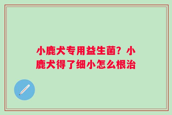 小鹿犬专用益生菌？小鹿犬得了细小怎么根治