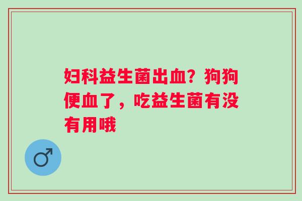 妇科益生菌出血？狗狗便血了，吃益生菌有没有用哦