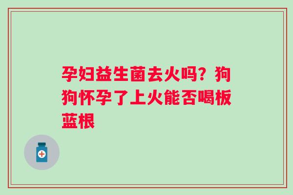 孕妇益生菌去火吗？狗狗怀孕了上火能否喝板蓝根