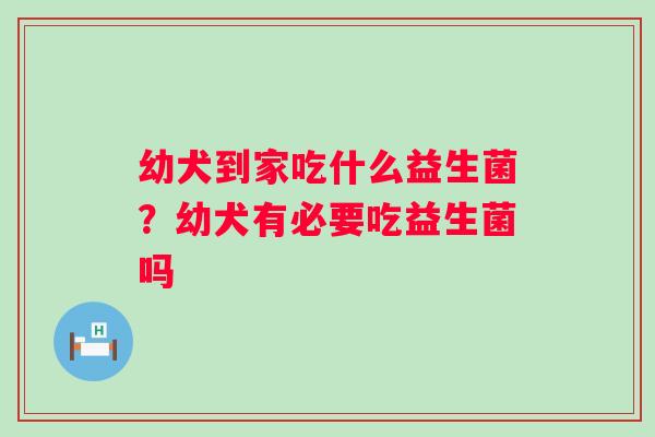 幼犬到家吃什么益生菌？幼犬有必要吃益生菌吗