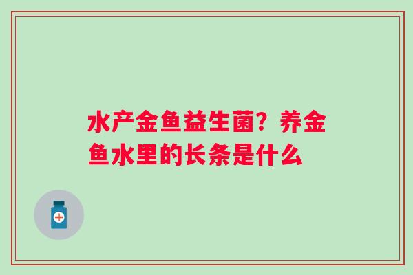 水产金鱼益生菌？养金鱼水里的长条是什么