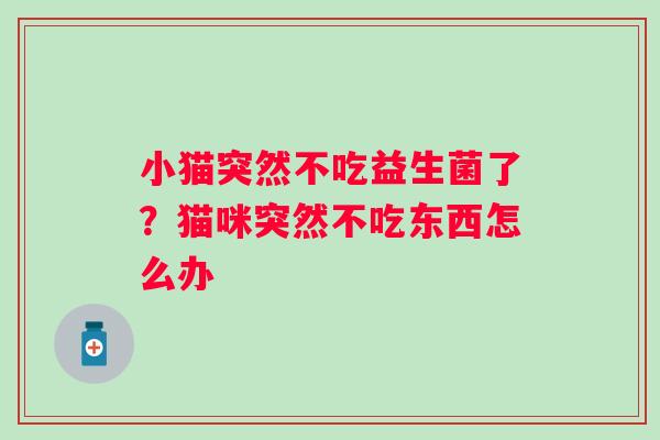 小猫突然不吃益生菌了？猫咪突然不吃东西怎么办