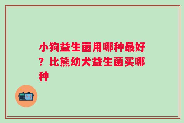 小狗益生菌用哪种最好？比熊幼犬益生菌买哪种