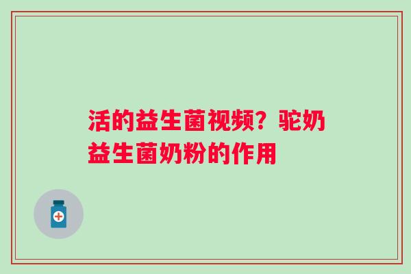 活的益生菌视频？驼奶益生菌奶粉的作用