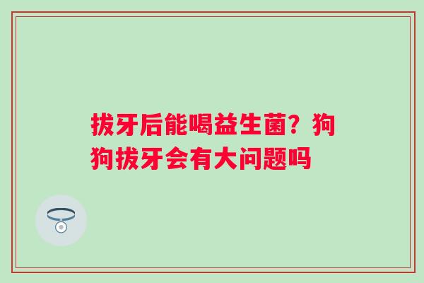 拔牙后能喝益生菌？狗狗拔牙会有大问题吗