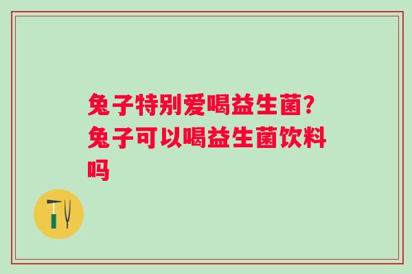 兔子特别爱喝益生菌？兔子可以喝益生菌饮料吗