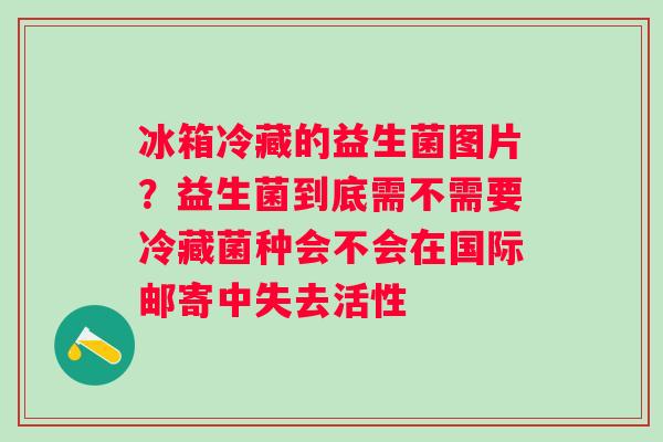 冰箱冷藏的益生菌图片？益生菌到底需不需要冷藏菌种会不会在国际邮寄中失去活性