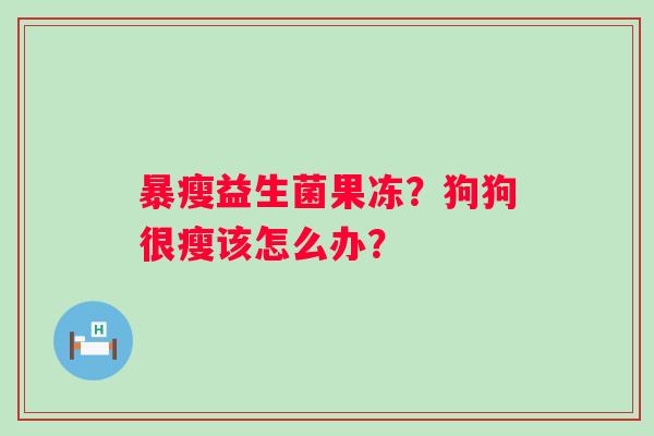 暴瘦益生菌果冻？狗狗很瘦该怎么办？