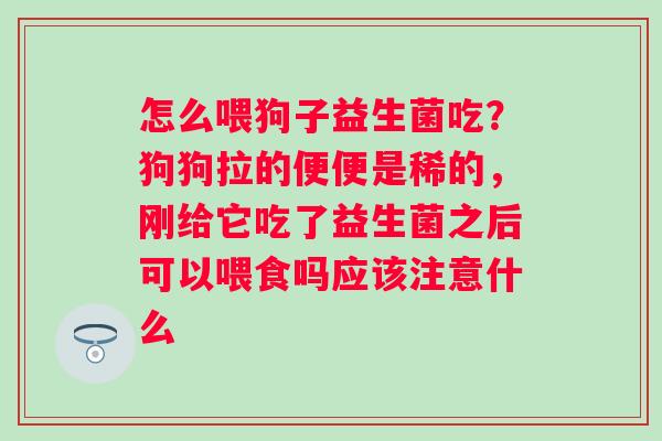 怎么喂狗子益生菌吃？狗狗拉的便便是稀的，刚给它吃了益生菌之后可以喂食吗应该注意什么