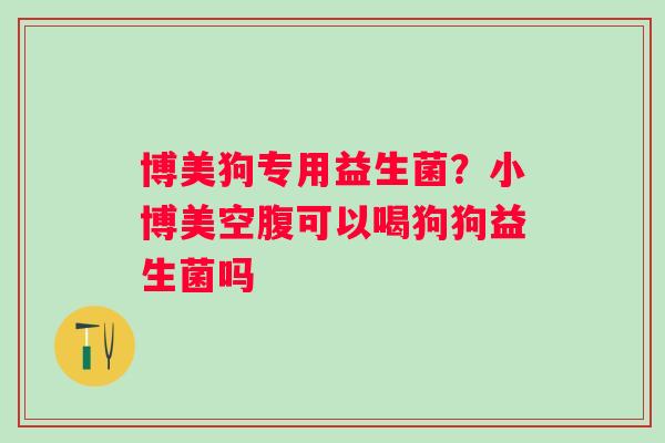博美狗专用益生菌？小博美空腹可以喝狗狗益生菌吗