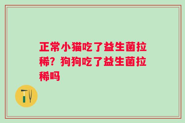 正常小猫吃了益生菌拉稀？狗狗吃了益生菌拉稀吗