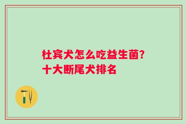 杜宾犬怎么吃益生菌？十大断尾犬排名