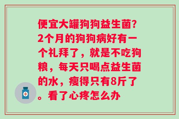 便宜大罐狗狗益生菌？2个月的狗狗病好有一个礼拜了，就是不吃狗粮，每天只喝点益生菌的水，瘦得只有8斤了。看了心疼怎么办