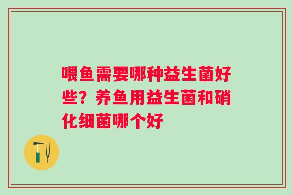 喂鱼需要哪种益生菌好些？养鱼用益生菌和硝化细菌哪个好
