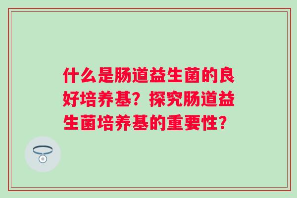 什么是肠道益生菌的良好培养基？探究肠道益生菌培养基的重要性？