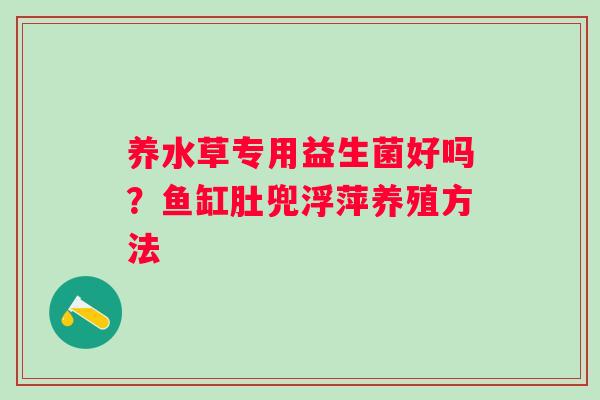 养水草专用益生菌好吗？鱼缸肚兜浮萍养殖方法