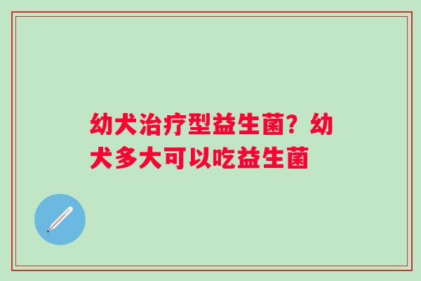 幼犬治疗型益生菌？幼犬多大可以吃益生菌