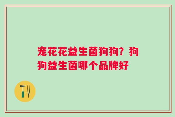 宠花花益生菌狗狗？狗狗益生菌哪个品牌好