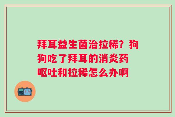 拜耳益生菌治拉稀？狗狗吃了拜耳的消炎药 呕吐和拉稀怎么办啊