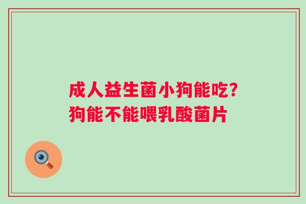 成人益生菌小狗能吃？狗能不能喂乳酸菌片