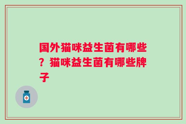 国外猫咪益生菌有哪些？猫咪益生菌有哪些牌子