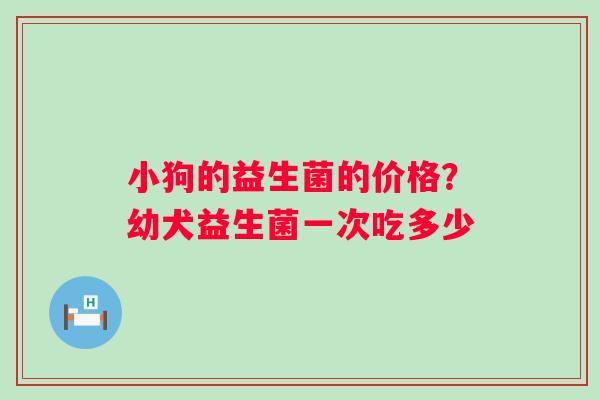 小狗的益生菌的价格？幼犬益生菌一次吃多少