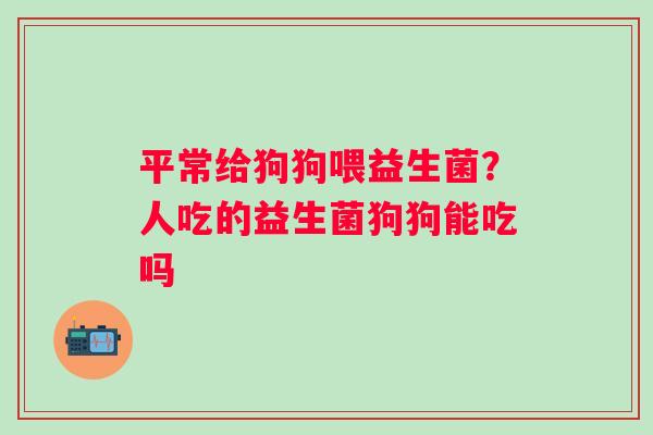 平常给狗狗喂益生菌？人吃的益生菌狗狗能吃吗