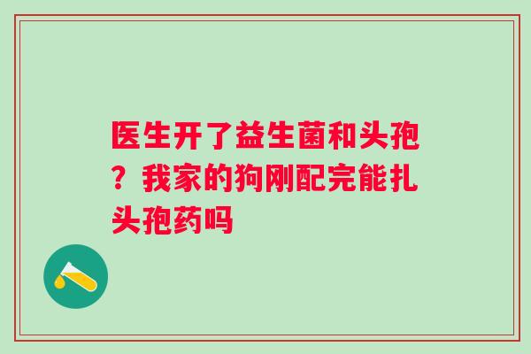医生开了益生菌和头孢？我家的狗刚配完能扎头孢药吗