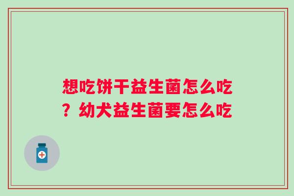 想吃饼干益生菌怎么吃？幼犬益生菌要怎么吃