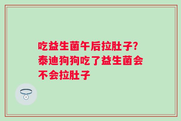 吃益生菌午后拉肚子？泰迪狗狗吃了益生菌会不会拉肚子