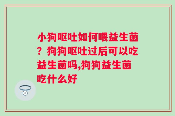 小狗呕吐如何喂益生菌？狗狗呕吐过后可以吃益生菌吗,狗狗益生菌吃什么好