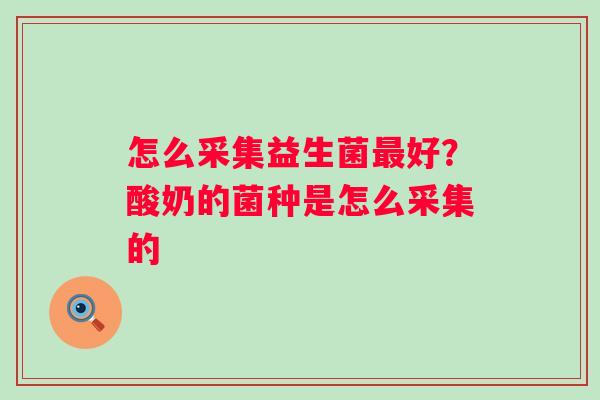 怎么采集益生菌最好？酸奶的菌种是怎么采集的