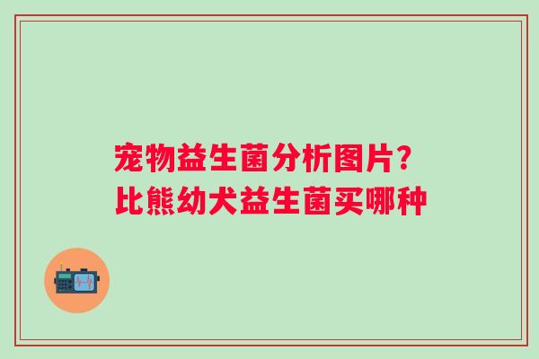 宠物益生菌分析图片？比熊幼犬益生菌买哪种
