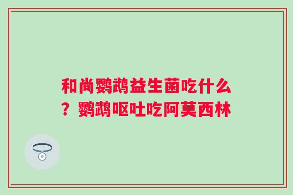 和尚鹦鹉益生菌吃什么？鹦鹉呕吐吃阿莫西林