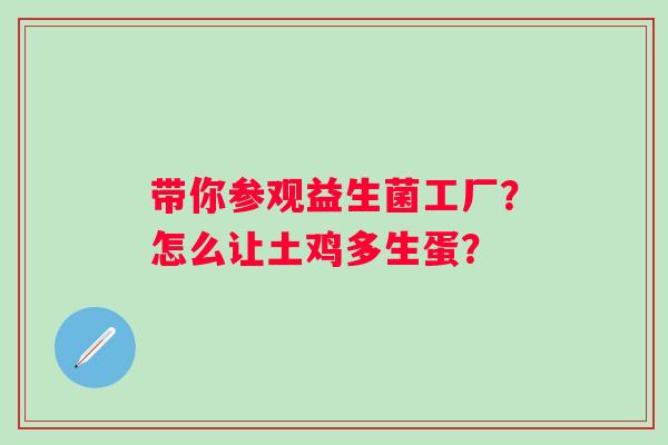带你参观益生菌工厂？怎么让土鸡多生蛋？