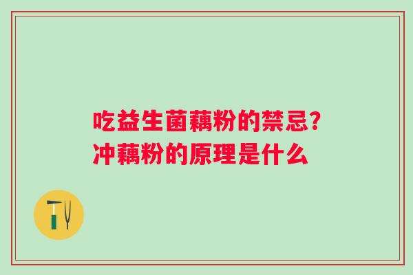 吃益生菌藕粉的禁忌？冲藕粉的原理是什么