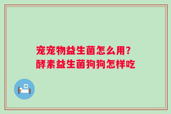 宠宠物益生菌怎么用？酵素益生菌狗狗怎样吃