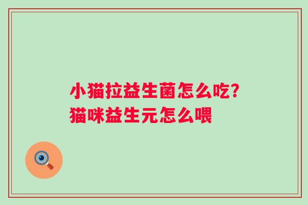 小猫拉益生菌怎么吃？猫咪益生元怎么喂