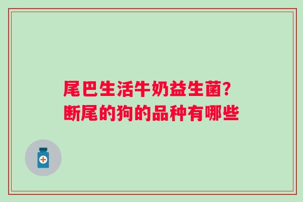 尾巴生活牛奶益生菌？断尾的狗的品种有哪些