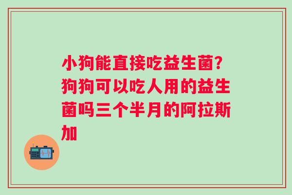 小狗能直接吃益生菌？狗狗可以吃人用的益生菌吗三个半月的阿拉斯加
