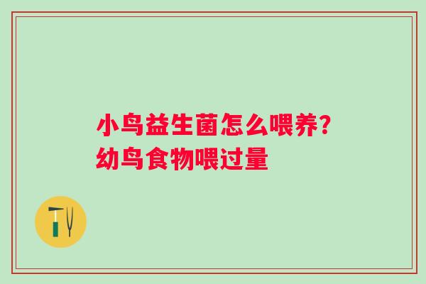 小鸟益生菌怎么喂养？幼鸟食物喂过量