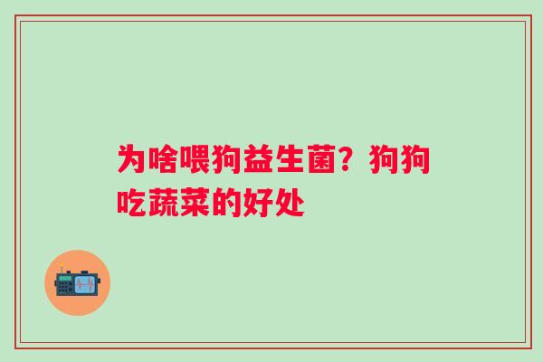 为啥喂狗益生菌？狗狗吃蔬菜的好处