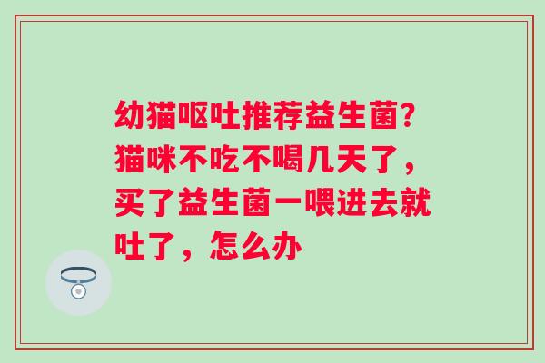 幼猫呕吐推荐益生菌？猫咪不吃不喝几天了，买了益生菌一喂进去就吐了，怎么办